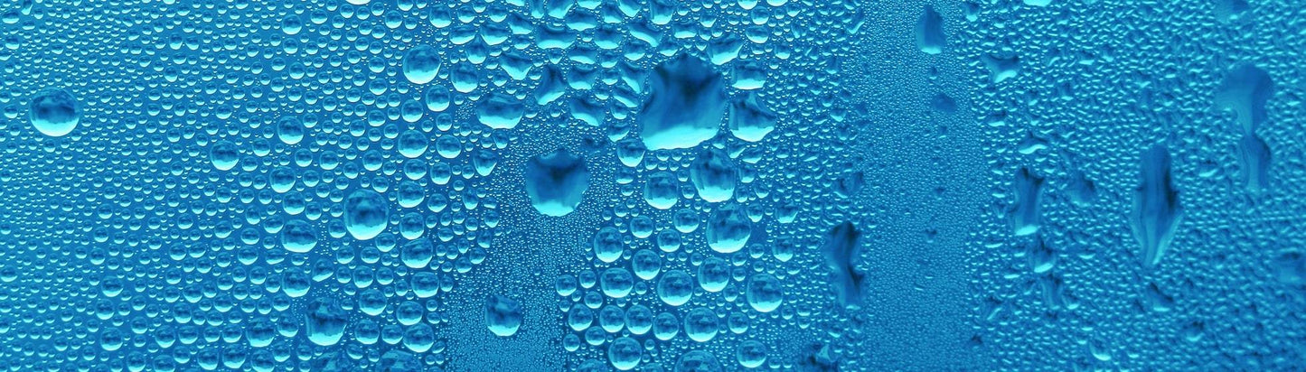 2025 Leak Detection (Repairs Offered Separately)